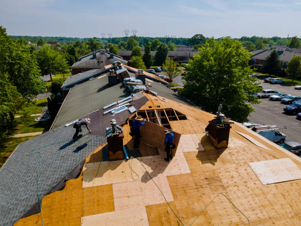 Best Metal Roofing Contractor  in Hilbert, WI