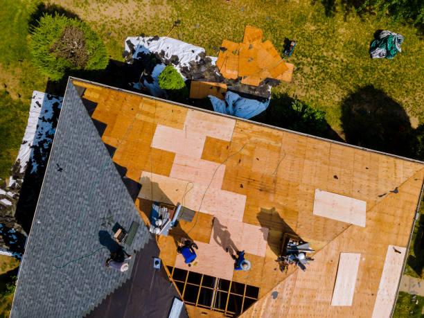 Best Storm Damage Roof Repair  in Hilbert, WI