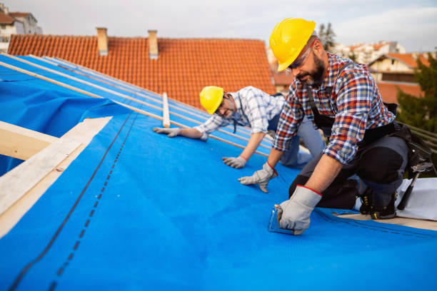 Best Flat Roof Repair Services  in Hilbert, WI