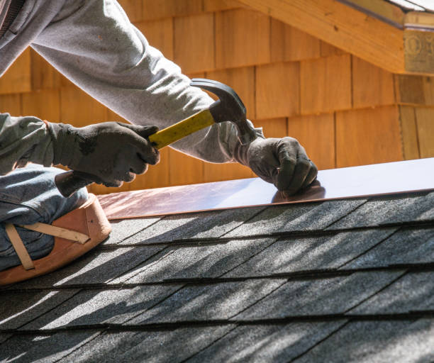 Best Roof Gutter Cleaning  in Hilbert, WI